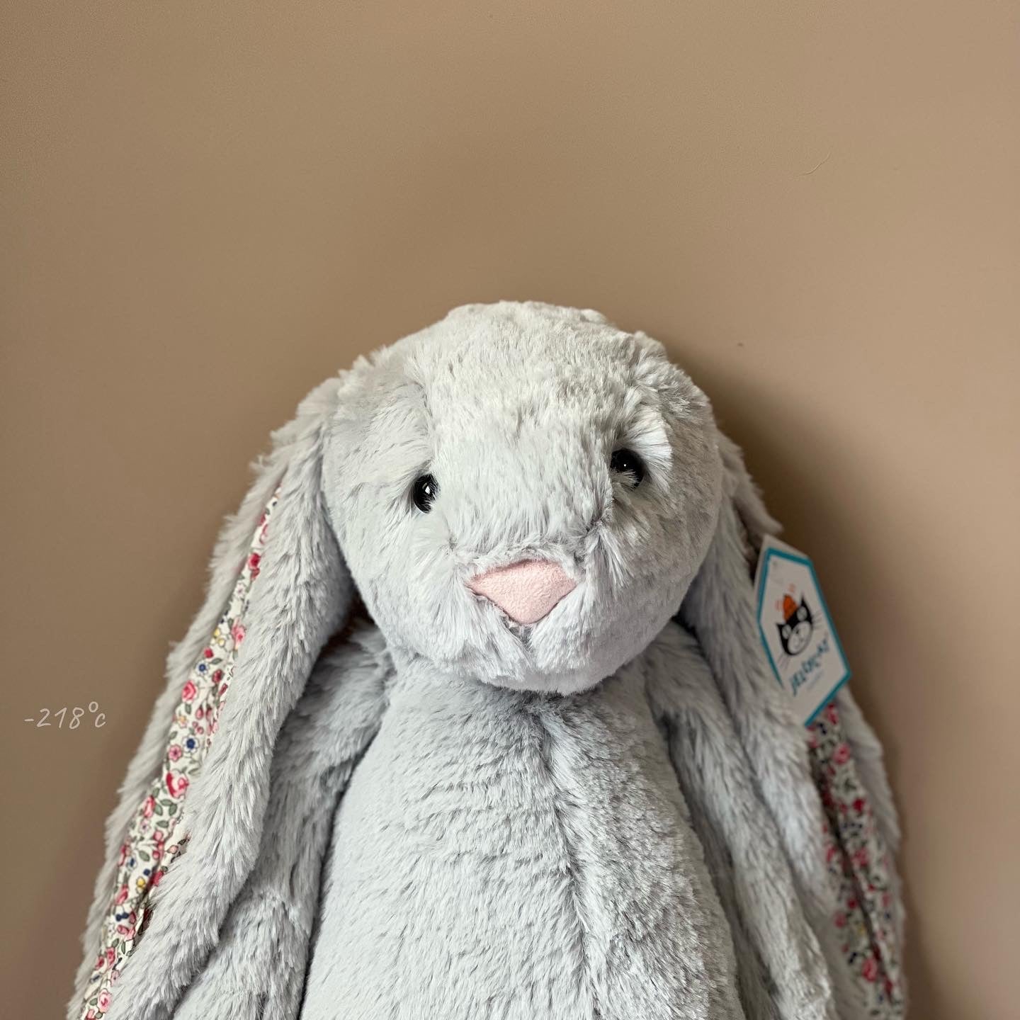 Jellycat Bashful 安撫兔🐰